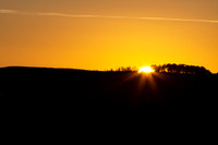 Sunset behind Trees_3093-90D_local