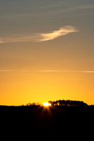 Sunset behind Trees_3094-90D_local