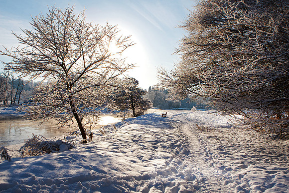 Winter Path by Tweed_4888
