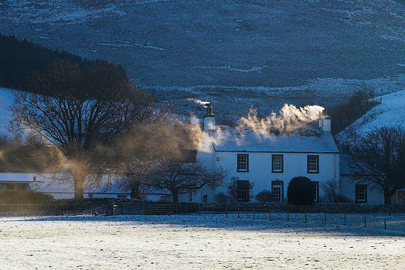 The Blue House_2543