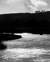 The Silvery Tweed_0423-90D-2