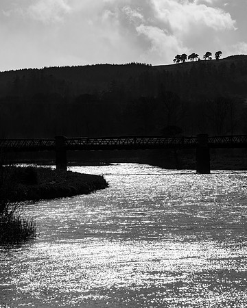 The Silvery Tweed_0423-90D-2
