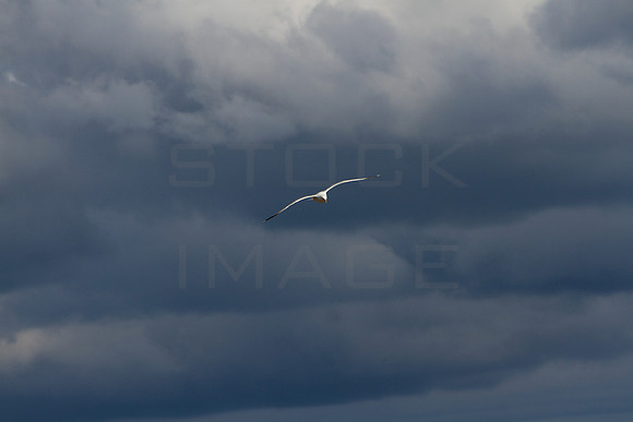 A Higher Perspective_7109_z