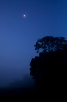 Morning Crecent Moon_7463