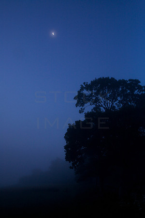 Morning Crecent Moon_7463
