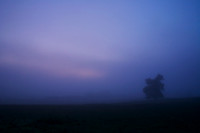 An Eerie Luminance_7465