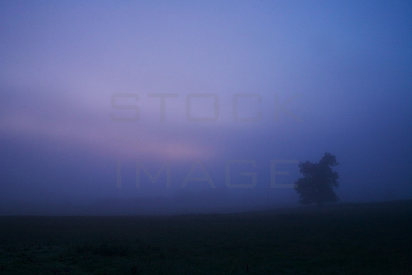 An Eerie Luminance_7465