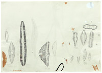 Liz-artwork-13