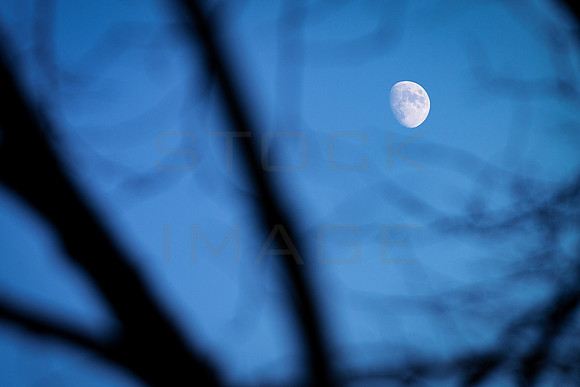 Blue Moon Transit_3078-90D_local