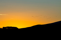 Last Flight of Day_3115-90D_local-2