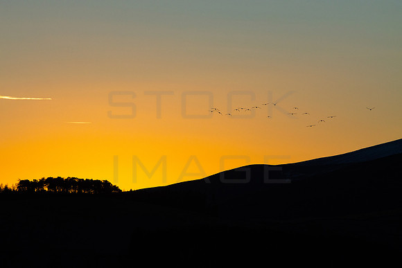 Last Flight of Day_3115-90D_local-2
