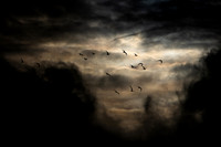 Leaving_3324-90D