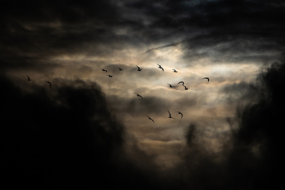 Leaving_3324-90D