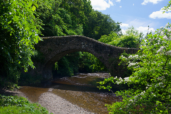 Cuddy Bridge in Summer_1396