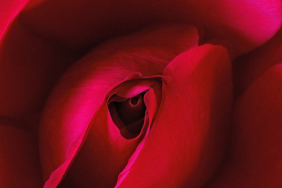 Hot Lips_0123