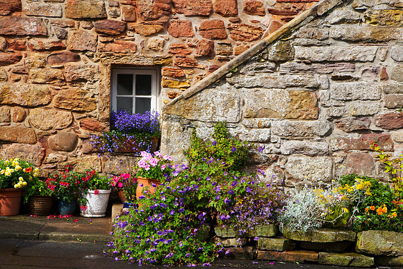 Garden Window_2625