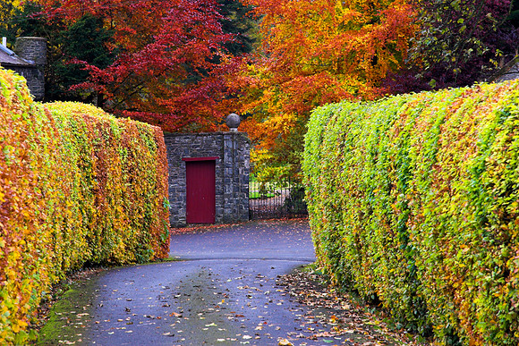 The Red Door