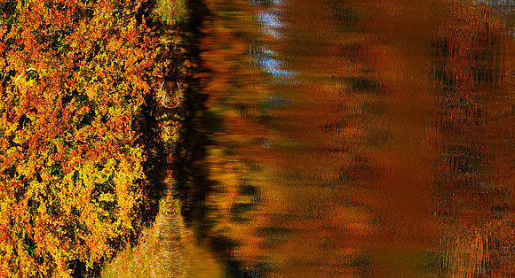 Autumn Intensity