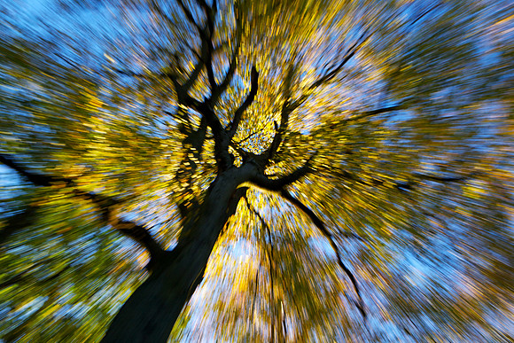 I Fell for Autumn_0508