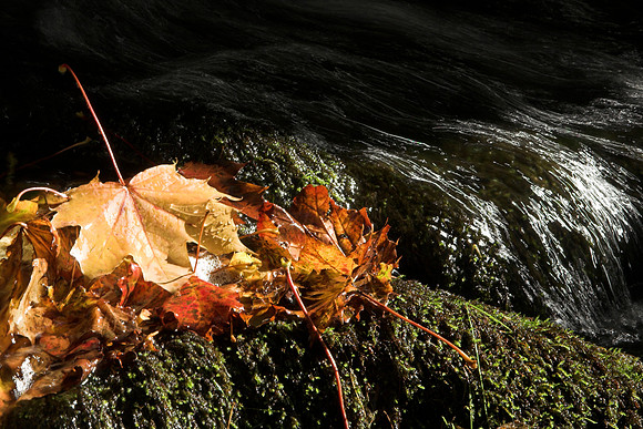 The Flow of Time_0584-01