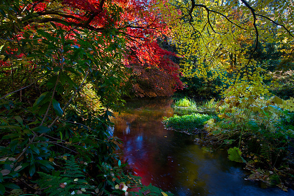 Water Garden_4484