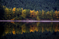 Autumn Reflections