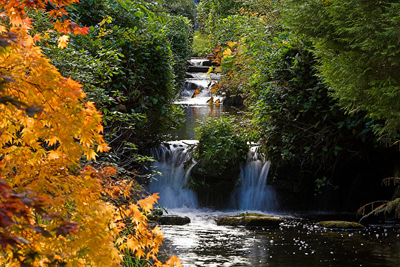 Stobo Waterfalls_0739