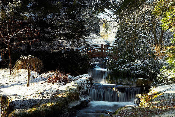 Winter Gardens at Stobo_3748