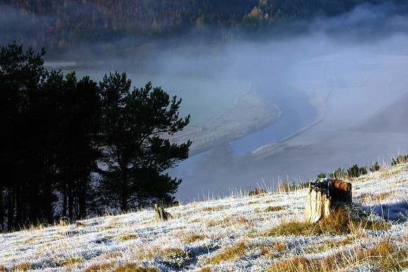 Frosty View