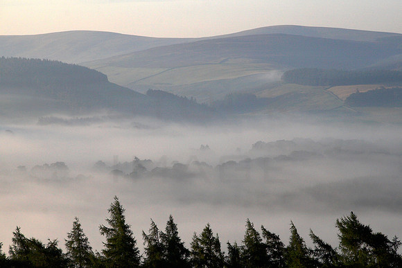 Mist in the Glen_8260