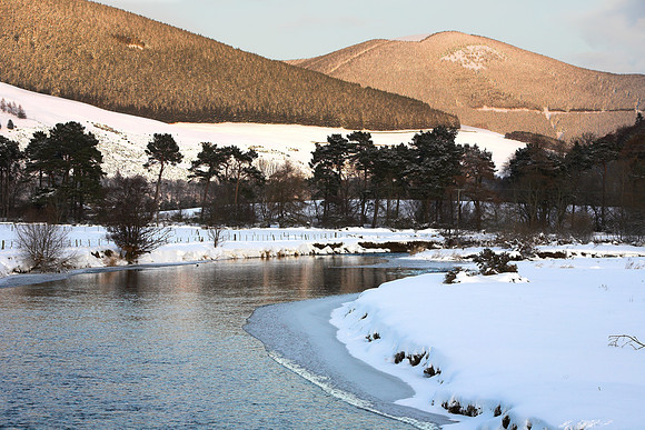 Winter Sunshine above Tweed_1873