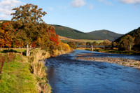 Tweed and Bridge in Autumn-2569-5D111