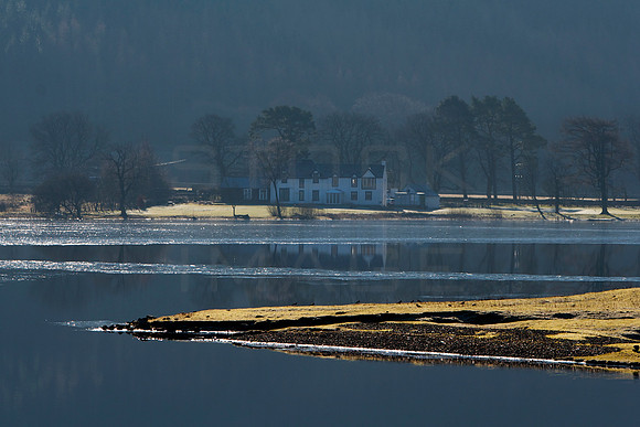 Tibbie Shiels overlooking St Mary's Loch_0225