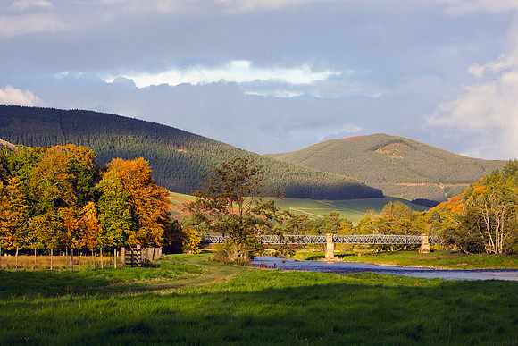 The Late Afternoon in Autumn_6909_sh