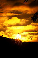 Summer Morning Sunrise_5237-90D