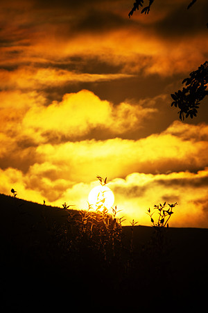 Summer Morning Sunrise_5237-90D