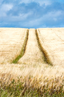 SUMMER - from June 1 to August 31