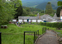 IMG_4011-01001