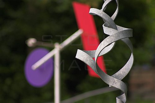 CRW_3355
