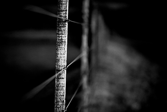 This Point in Tme_8182