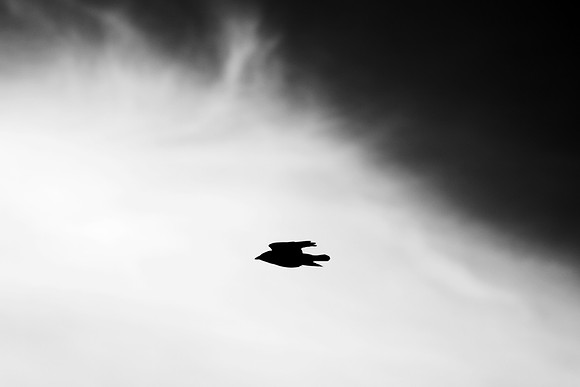 Flyby_1023