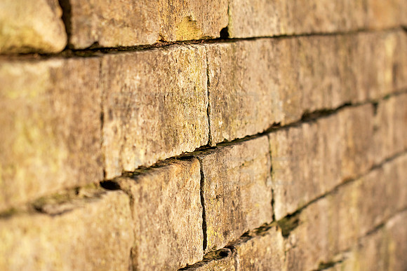 Jericho_7645