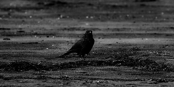 Got my Eye on You_0041