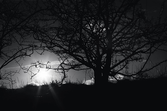 Touching the Light_8102