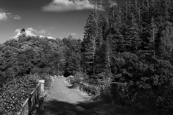 A Line through Yesterday_2108