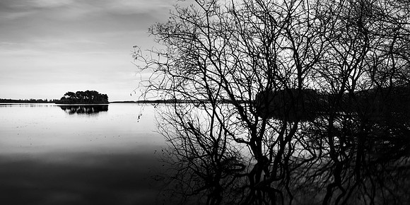 Beyond the Confusion_5332