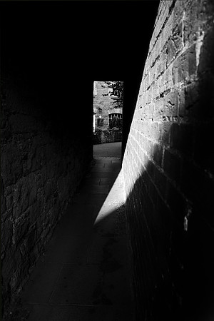 Light Shard in Alley_4037