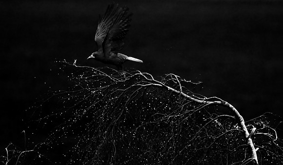 Life Sparkles_6233