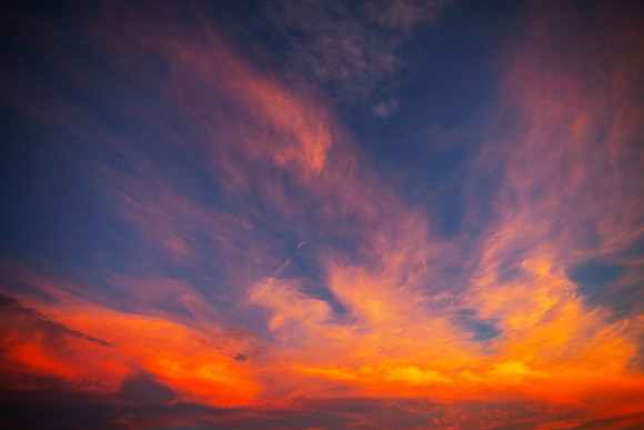 Rhapsody in Red Yellow and Blue_1322-local