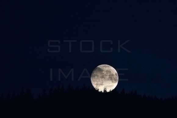Super Moon 2015_7663